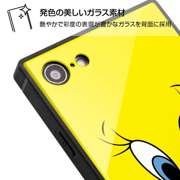 耐衝撃ガラスケース KAKU ワーナー