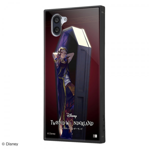 #カラー_『ツイステッドワンダーランド/カリム・アルアジーム』