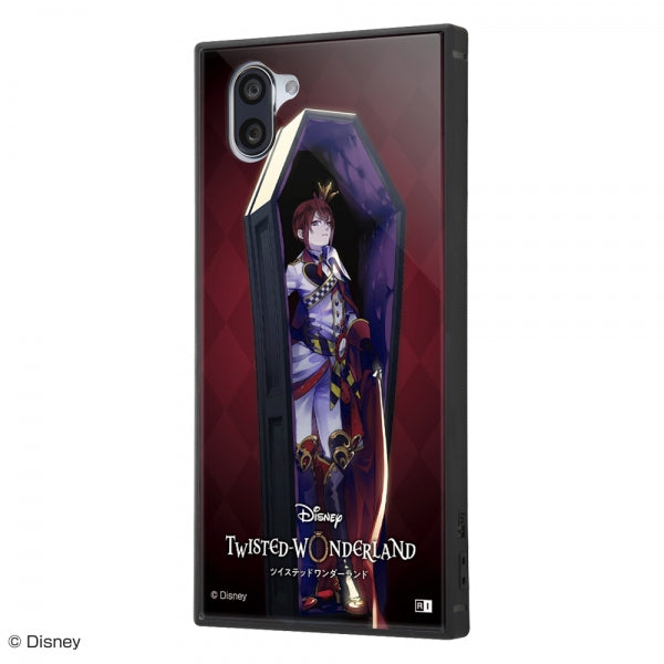 #カラー_『ツイステッドワンダーランド/リドル・ローズハート』