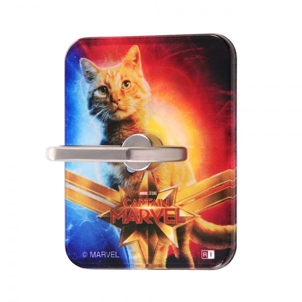 #カラー_グース