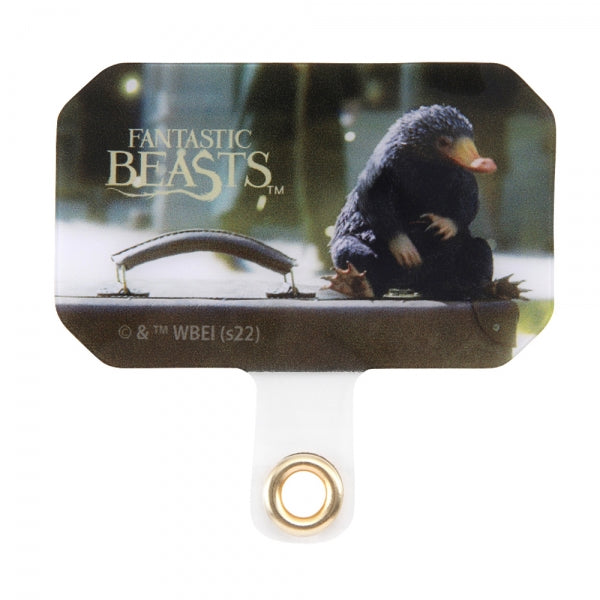 #カラー_ニフラー