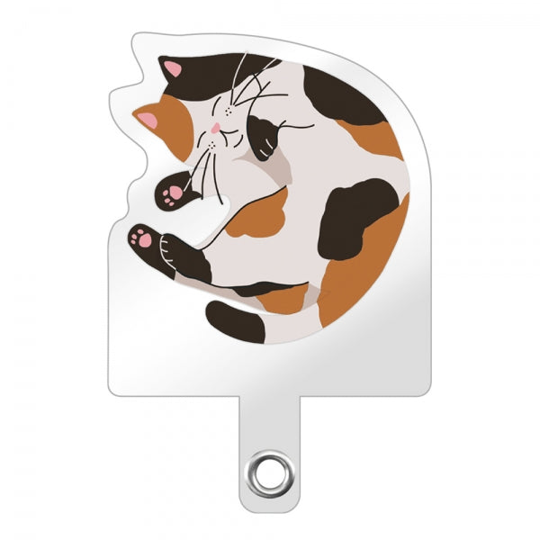 #カラー_三毛猫