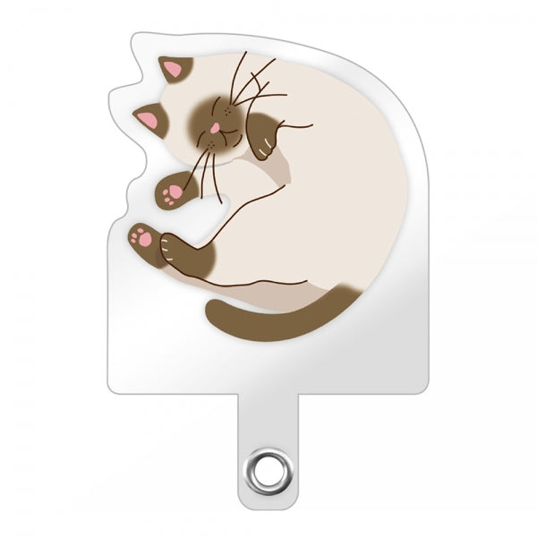 #カラー_シャム猫