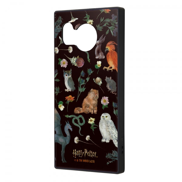 #カラー_魔法動物