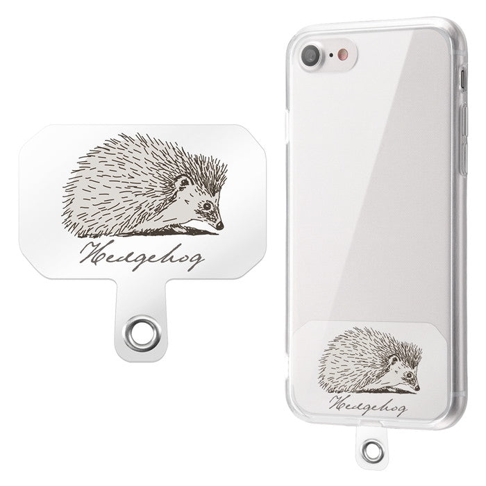 #カラー_ハリネズミ