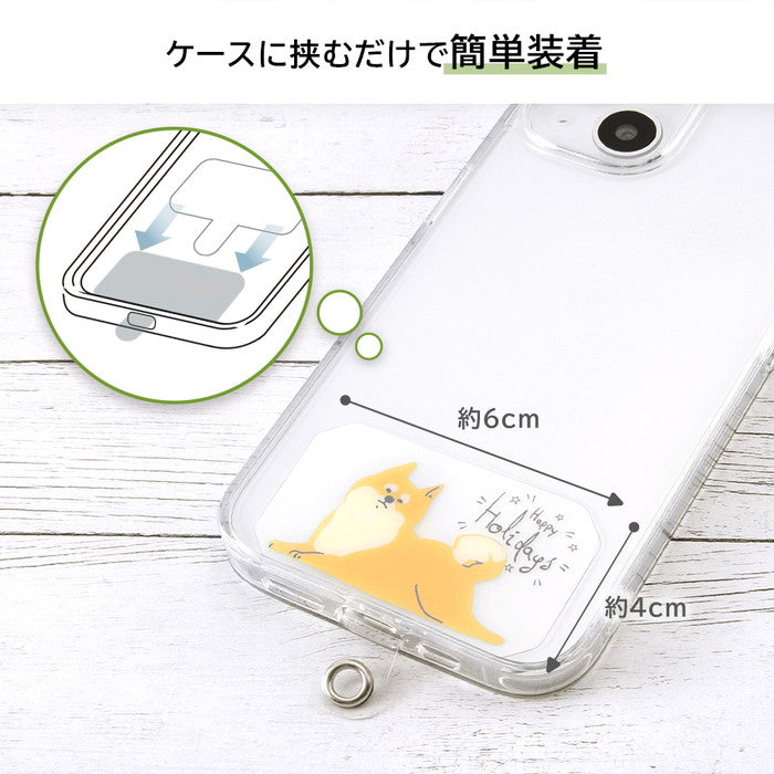 #カラー_ハリネズミ