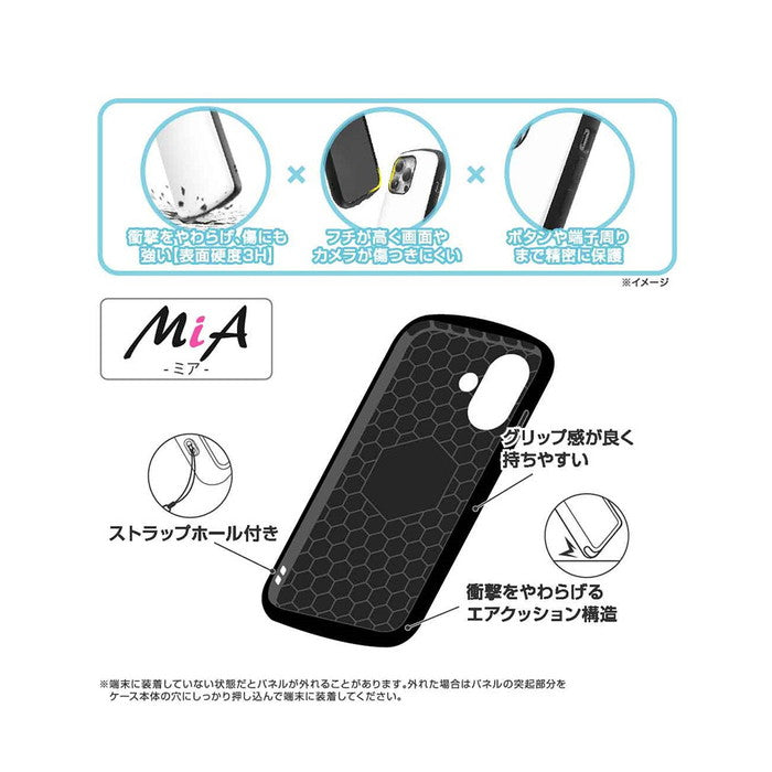 #カラー_イーブイ