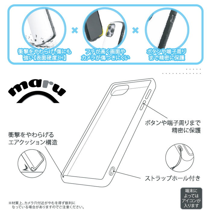 #カラー_イーブイ