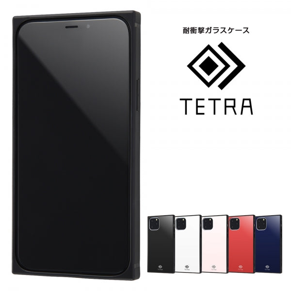 耐衝撃ガラスケース TETRA